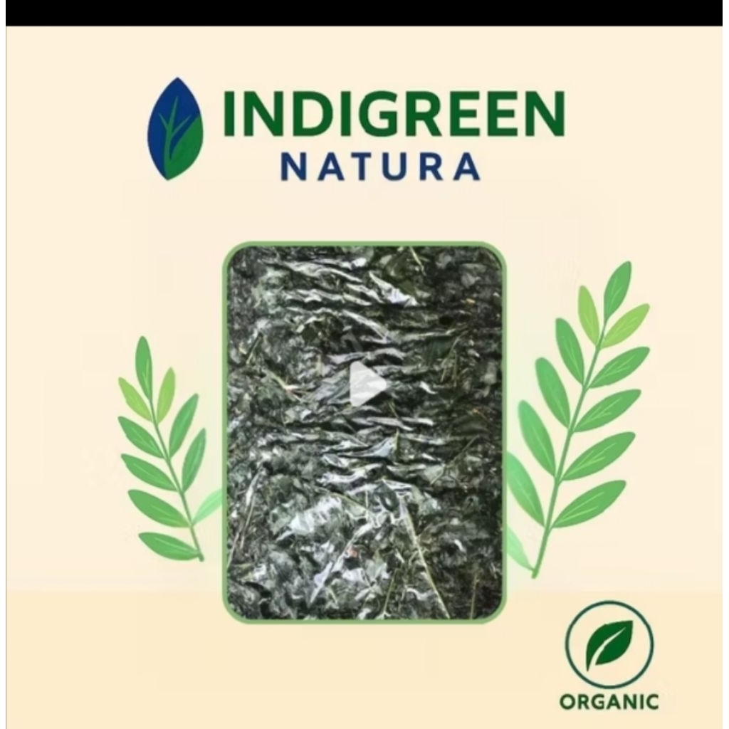 Silase Indigofera pakan ternak hewan pakan kelinci ,kambing, sapi, domba