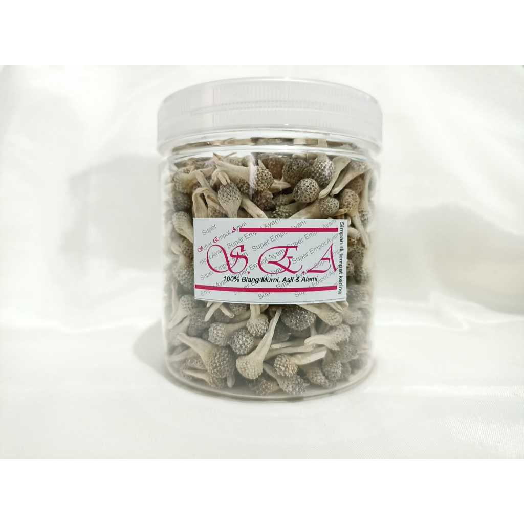 (100gr) SUPER Empot Ayam PUTIH Asli UTUH Empot Biang Mpot Keputihan kesed keset