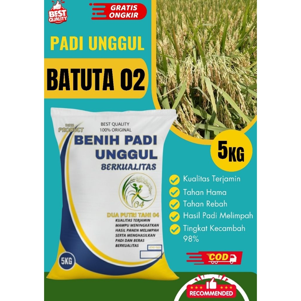 Benih padi unggul BATUTA kemasan 5Kg