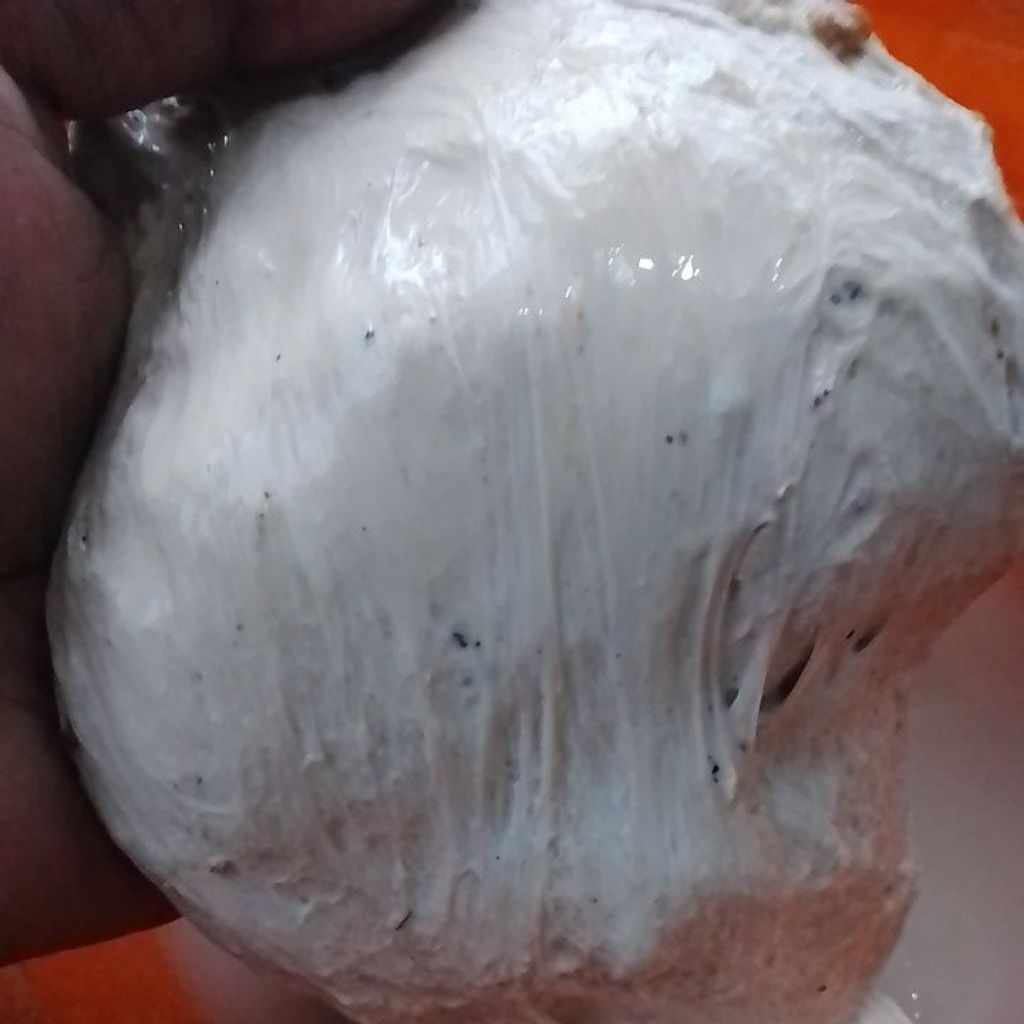 Pulut pikat burung 1 ons