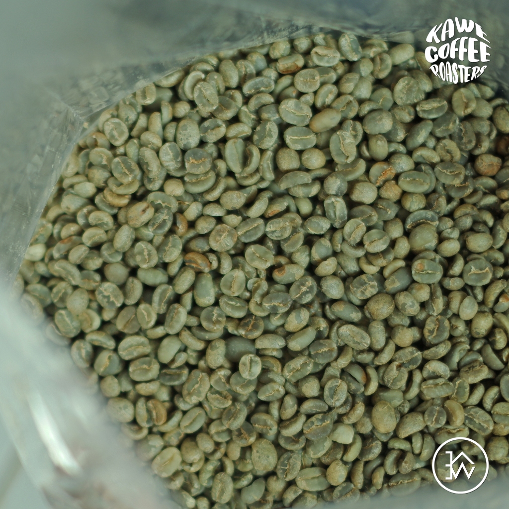 Green Bean Arabica Semendo - Semende Arabika Fullwash