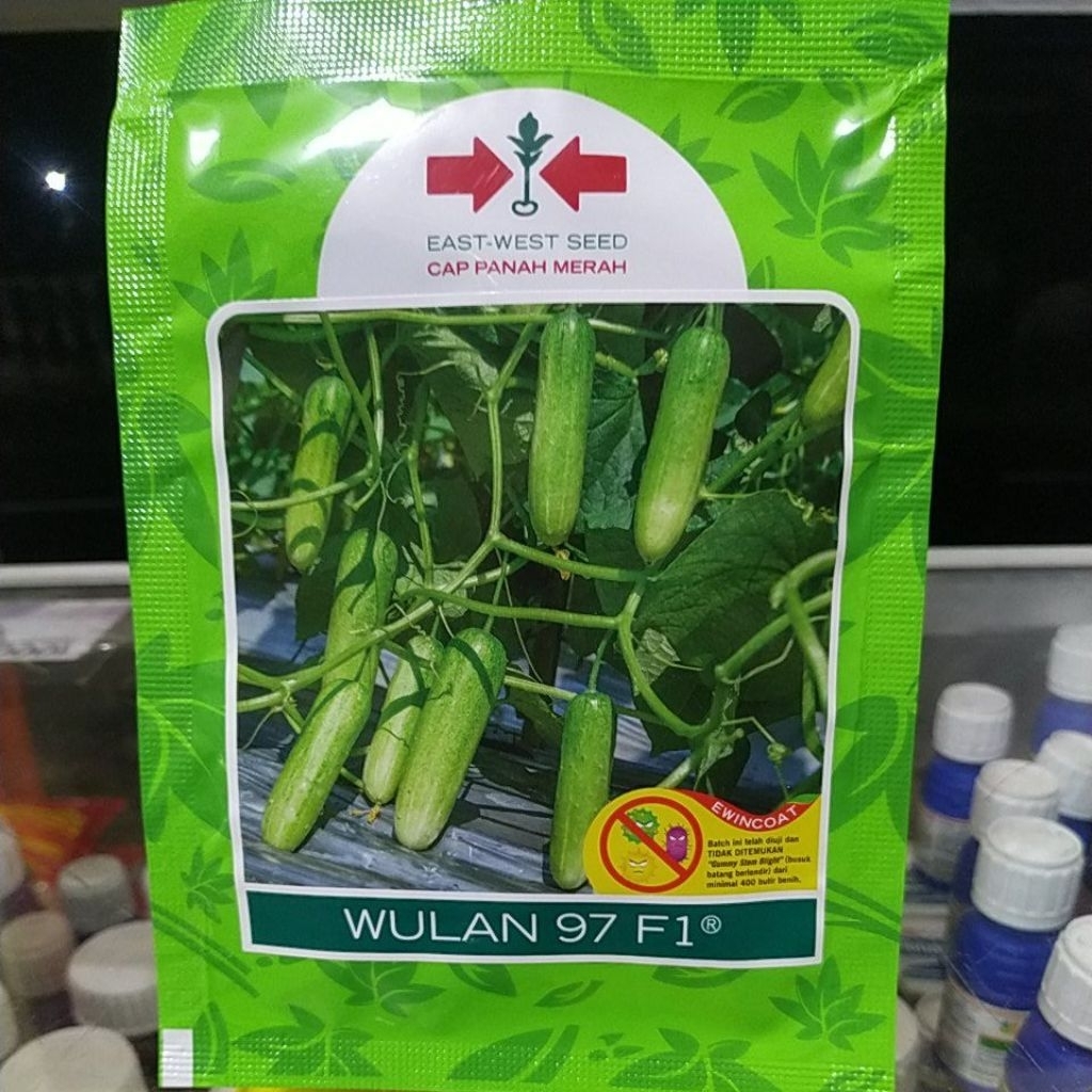 timun wulan 97 f1 800btr timun baby wulan 97 f1 timun panah merah