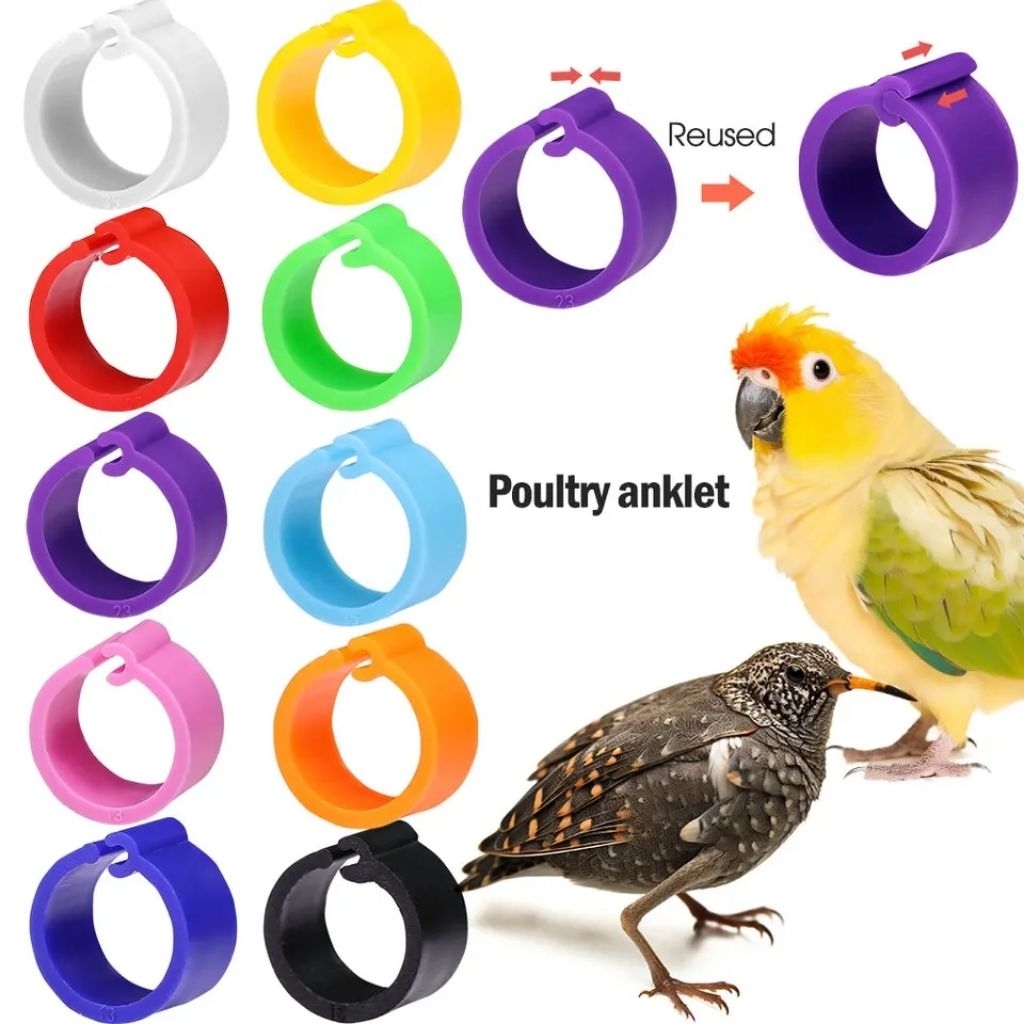 RING BURUNG A26 CLIP POLOS 6MM PUTER DERKUKU JALAK DLL