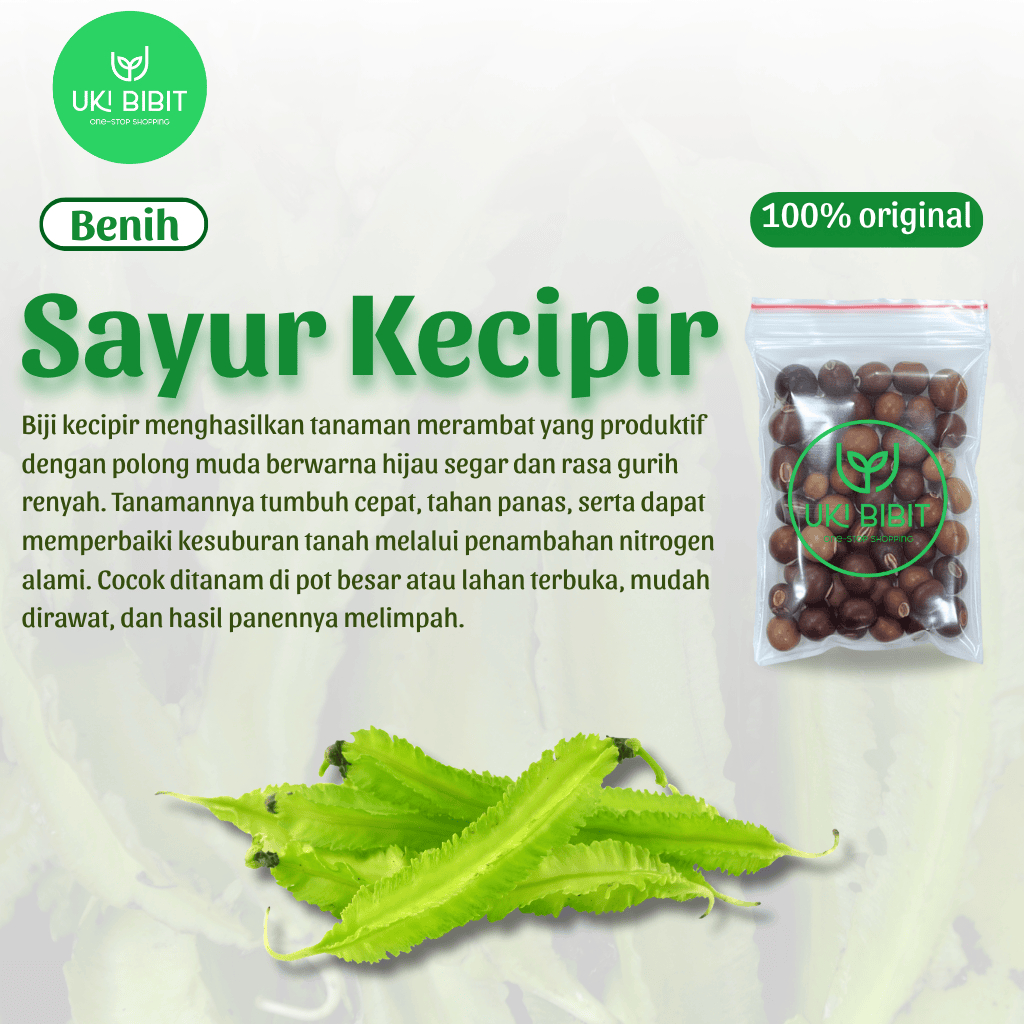 ( 5 Butir ) Benih Biji Sayuran Kecipir Lalap | Kecipir Sayur | Kecipir Hijau