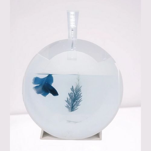 Aquarium Bulat Mini Estetik