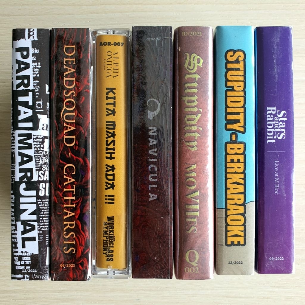 Kaset Marjinal , Navicula , Stars & Rabbit , Stupidity , Deadsquad & The Workingclass Symphony