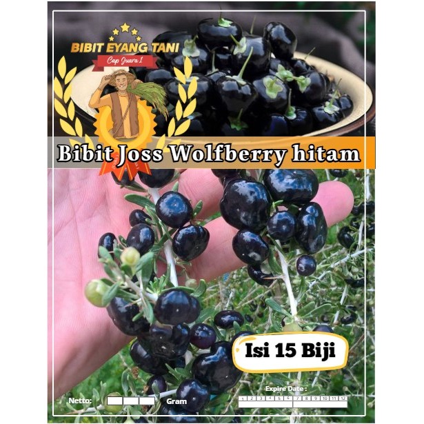 Bibit Joss Wolfberry Hitam | Biji Benih Goji Berry Hitam | Goji Berry Black