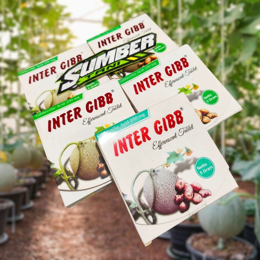 GA3 Tablet INTER GIBB Pembesar Umbi dan Buah Pemacu Pertumbuhan