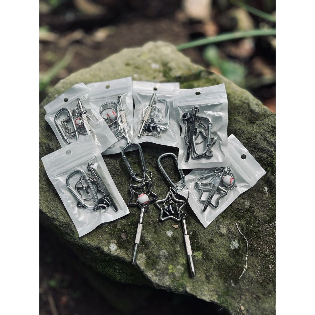 carabiner keychain skena