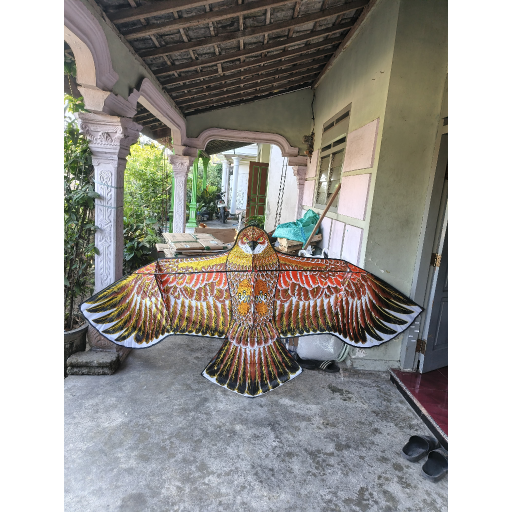 (BONUS TALI) Layangan Elang Jumbo Ukuran 3 Meter / Layangan Elang