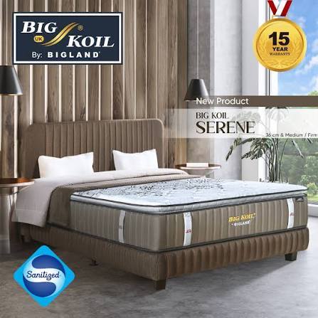 Big Koil SERENE FE-3Z-T36 by Bigland (Foam Encasement) - Full Set