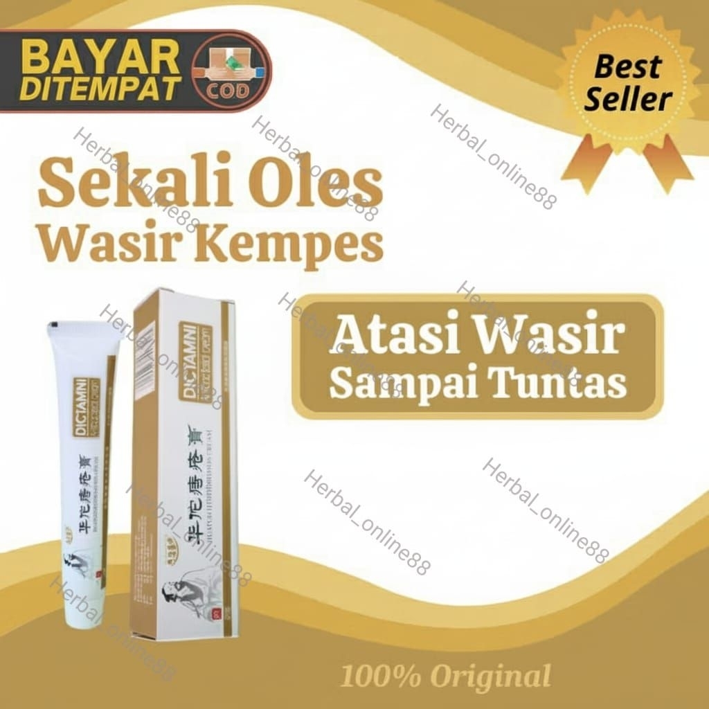 SALEP WASIR DICTAMNI 100%ORIGINAL