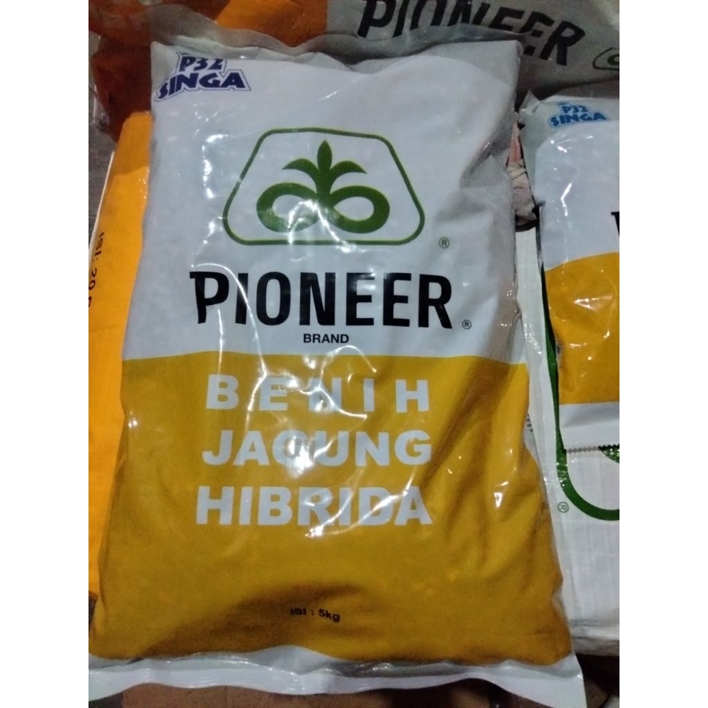 Benih jagung P32 singa 5 kg