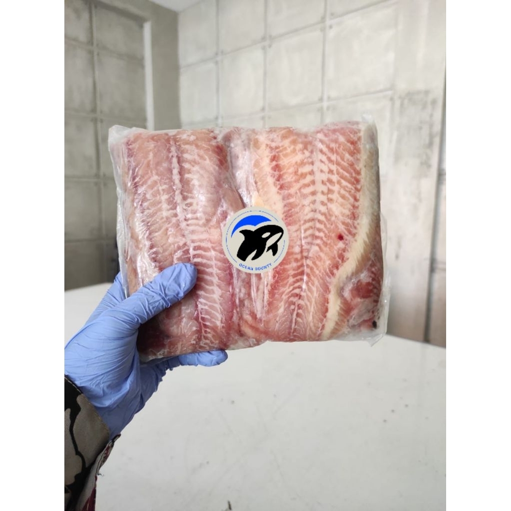 Harga Lele Fillet 1KG Terbaru Jul 2026 | BigGo Indonesia