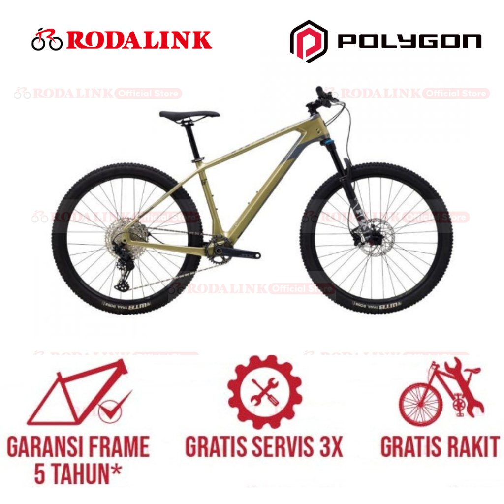 Polygon Sepeda Gunung MTB Carbon Syncline C5