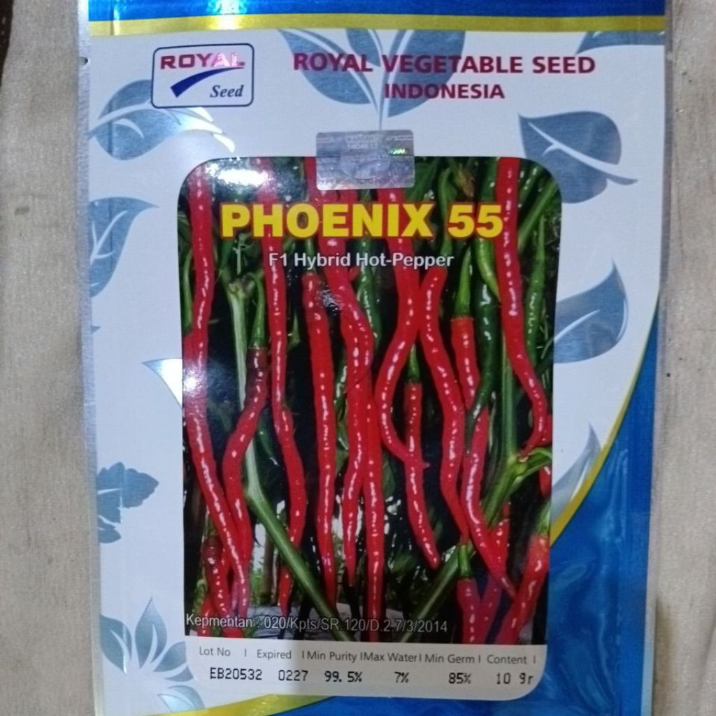 BENIH CABE KERITING PHOENIX 55