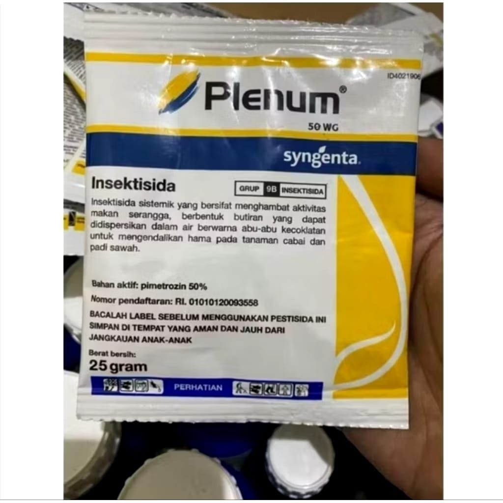 Plenum 50wg 25gram