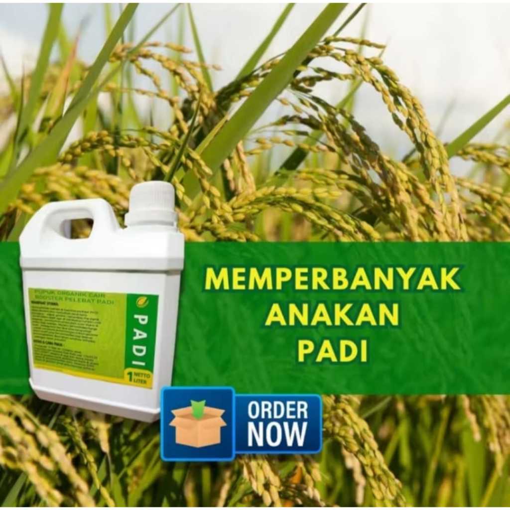 COD Pupuk Organik Cair / Pupuk Organik Cair Pupuk Padi Pelebat Anakan Padi atau Bulir Padi