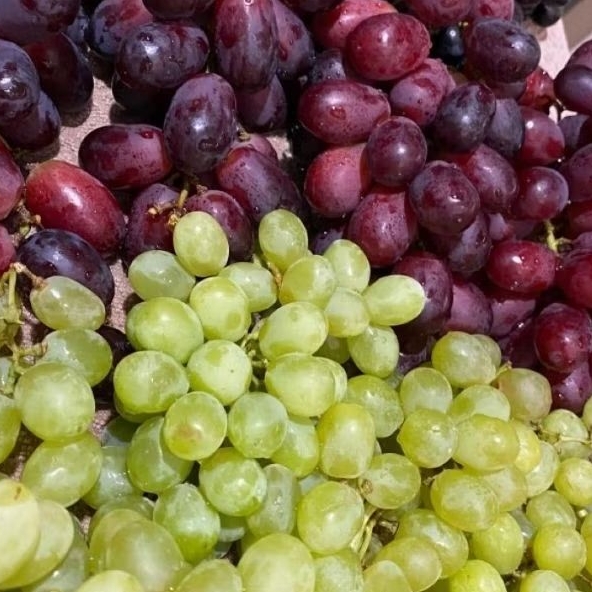 Buah Anggur Hijau Merah Segar -  Pasar Makassar