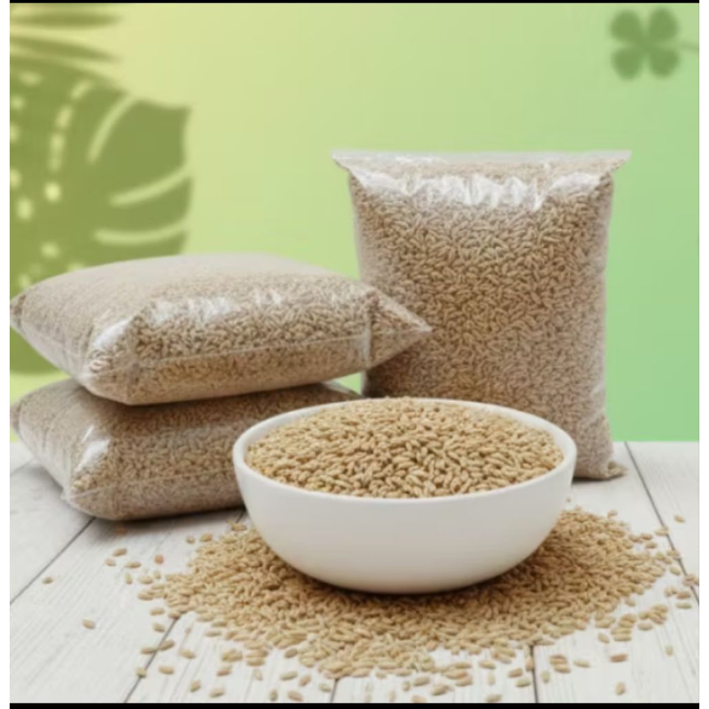 KENARI SEED MERK VITA 500 GR