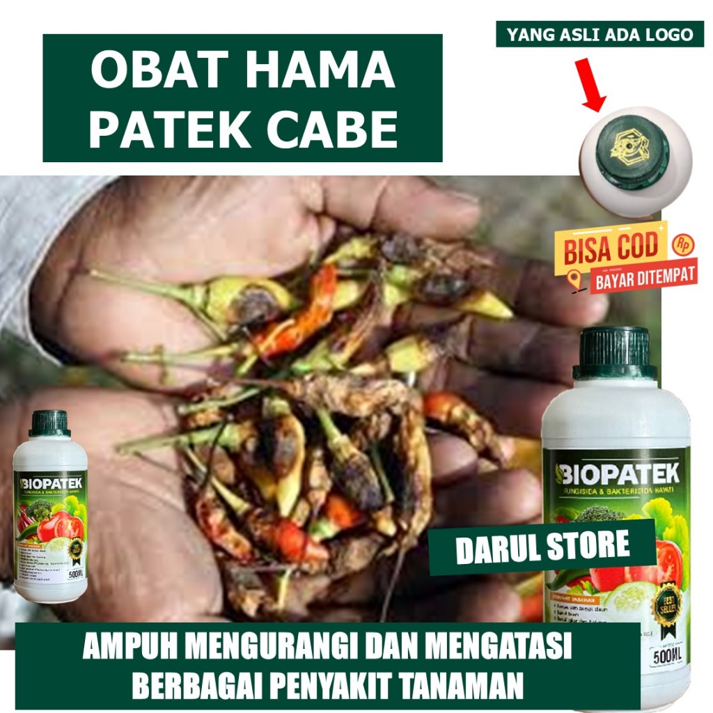 OBAT HAMA PATEK CABE ALAMI > OBAT PATEK CABE AMPUH > OBAT PATEK CABE ORGANIK - NOPATEK ASLI