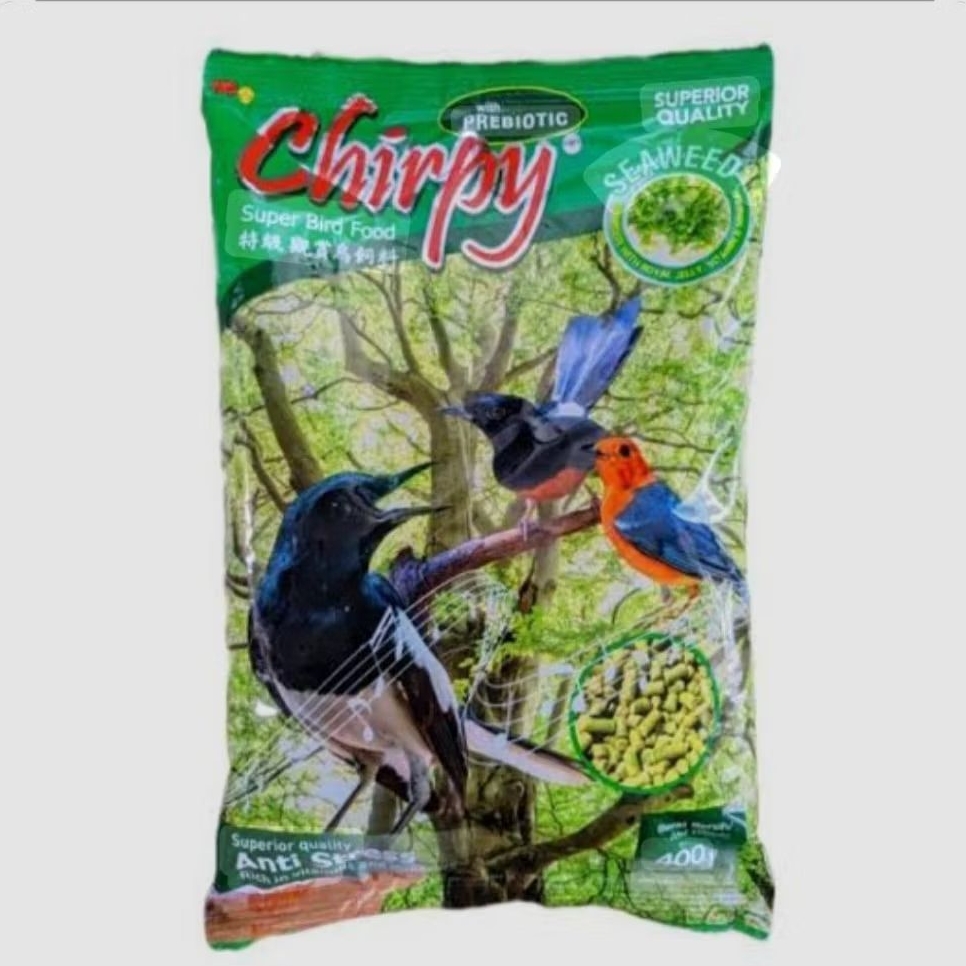 PAKAN BURUNG CHIRPY