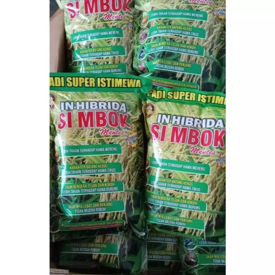 Bibit padi simbok in hibrida 1 kg mentes unggul