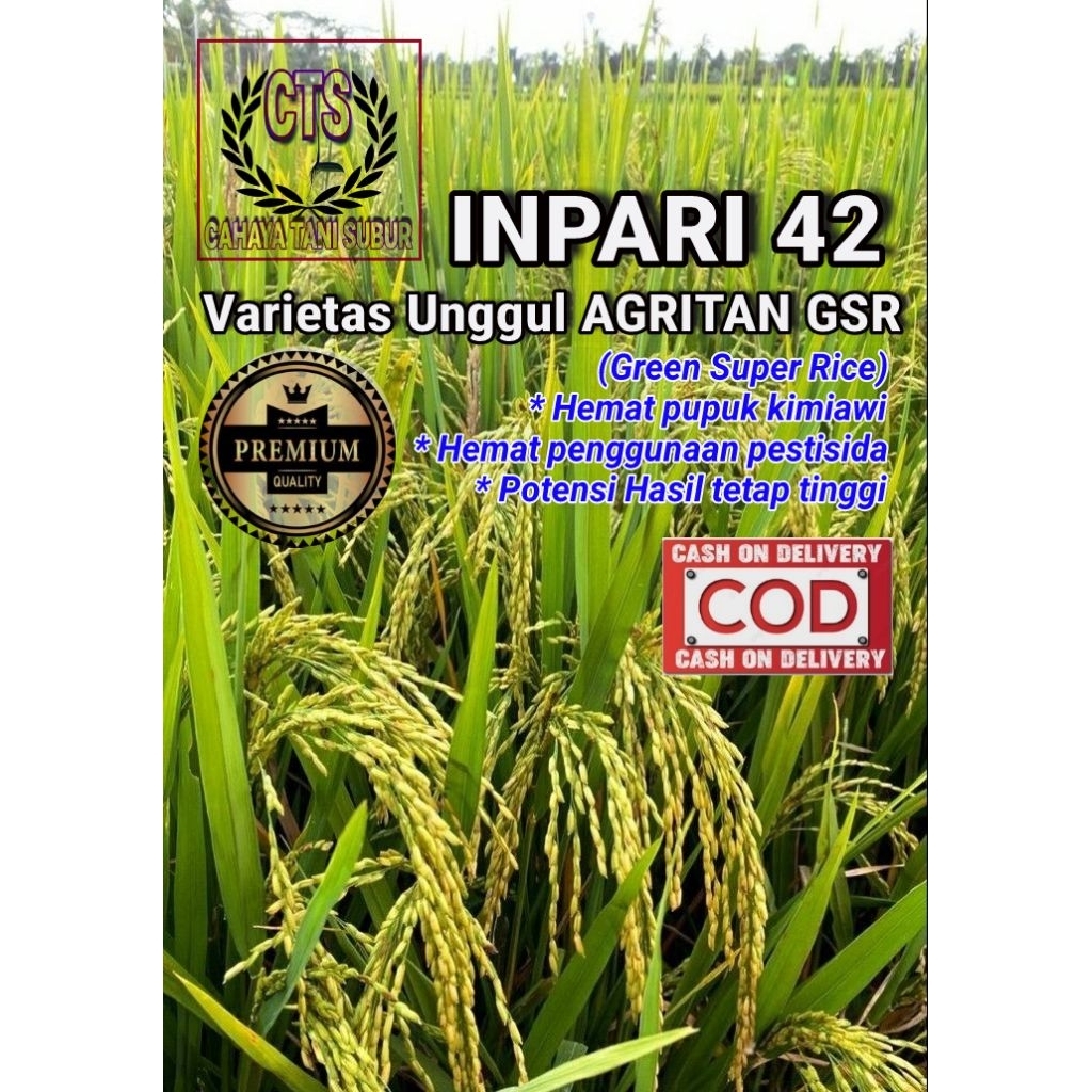Inpari 42 Agritan GSR Benih Padi Unggul (1kg)