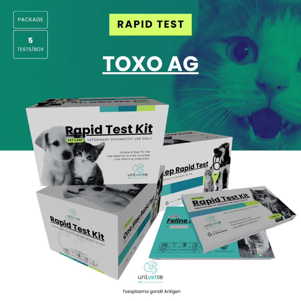 5 PCS/BOX : TOXO Antigen Rapid test kit/Toxoplasma gondii Antigen/Rapid Test Kucing-anjing/Feline Ca