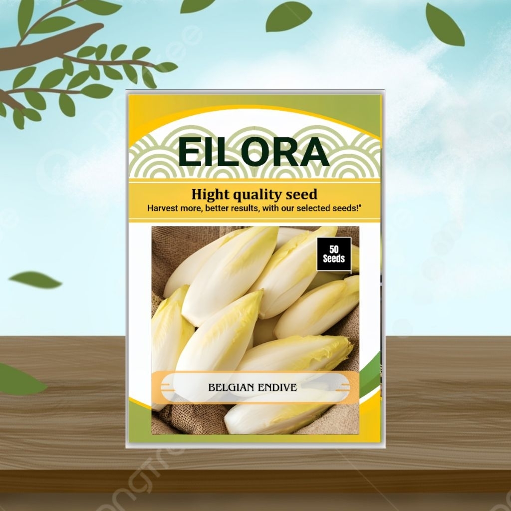 50 BUTIR BIJI/BENIH BELGIAN ENDIVE