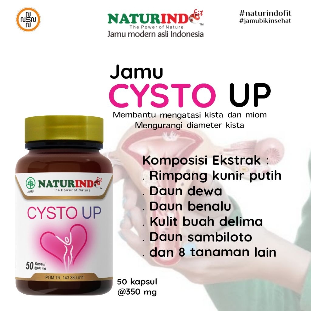 cysto up herbal kista & miyom original