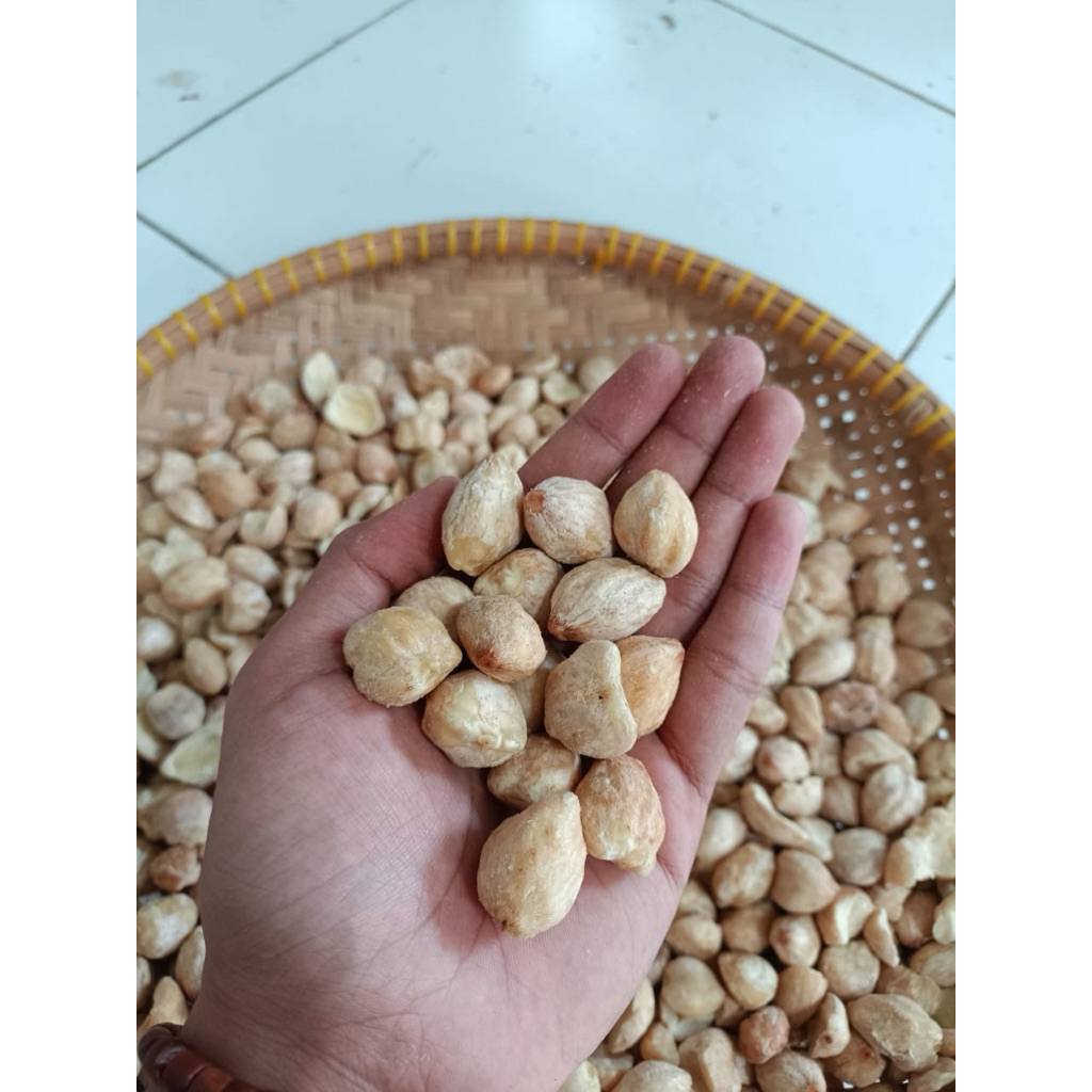 KemiriBulat|KemiriPremium|KemiriMurah