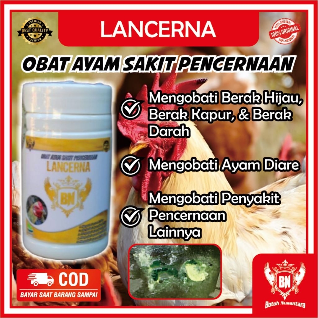 Obat Ayam berak Hijau tetelo LANCERNA mengobati masalah pencernaan ayam kolera berak Hijau berak put