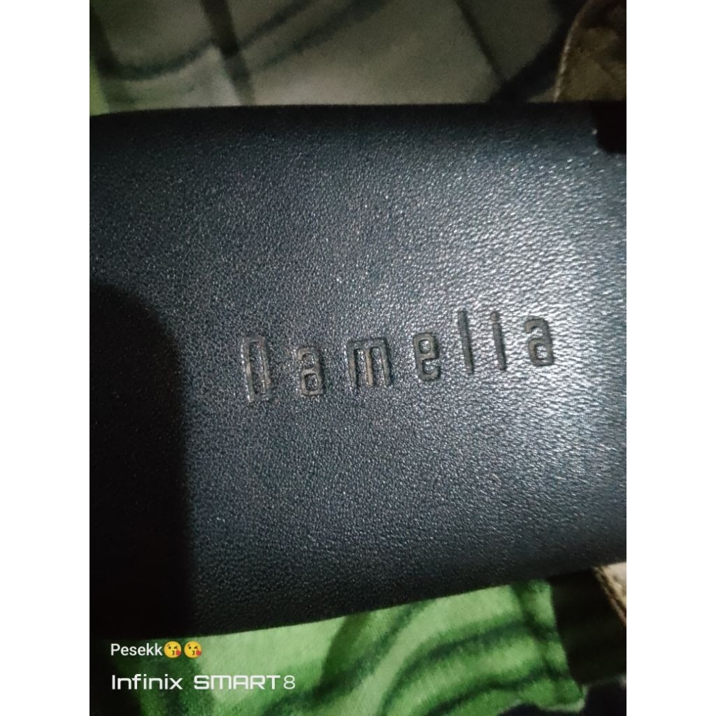 Damelia