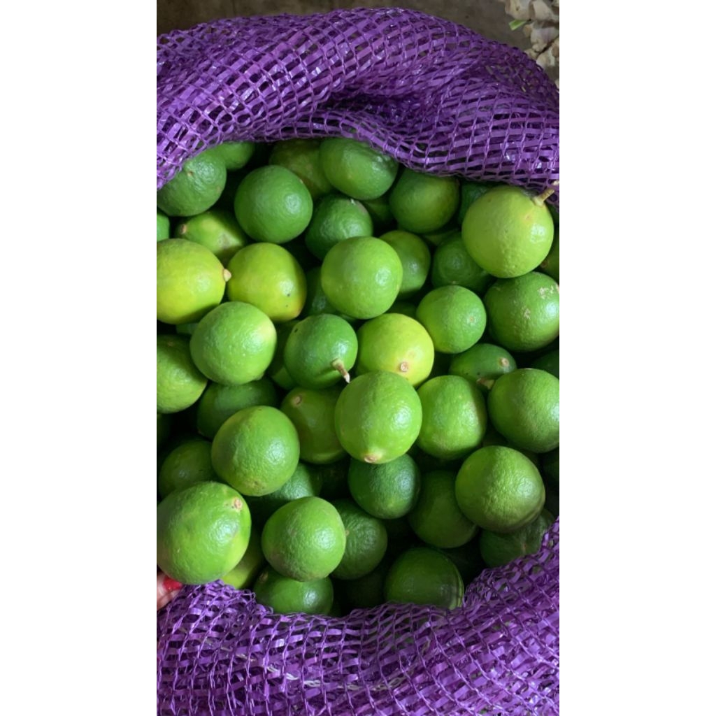 Jeruk Nipis ¼kg