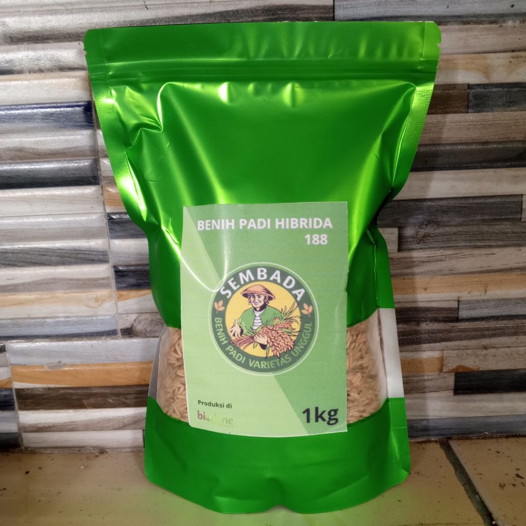 (1KG)BENIH PADI HIBRIDA SEMBADA 188 ORIGINAL BERKUALITAS TINGGI