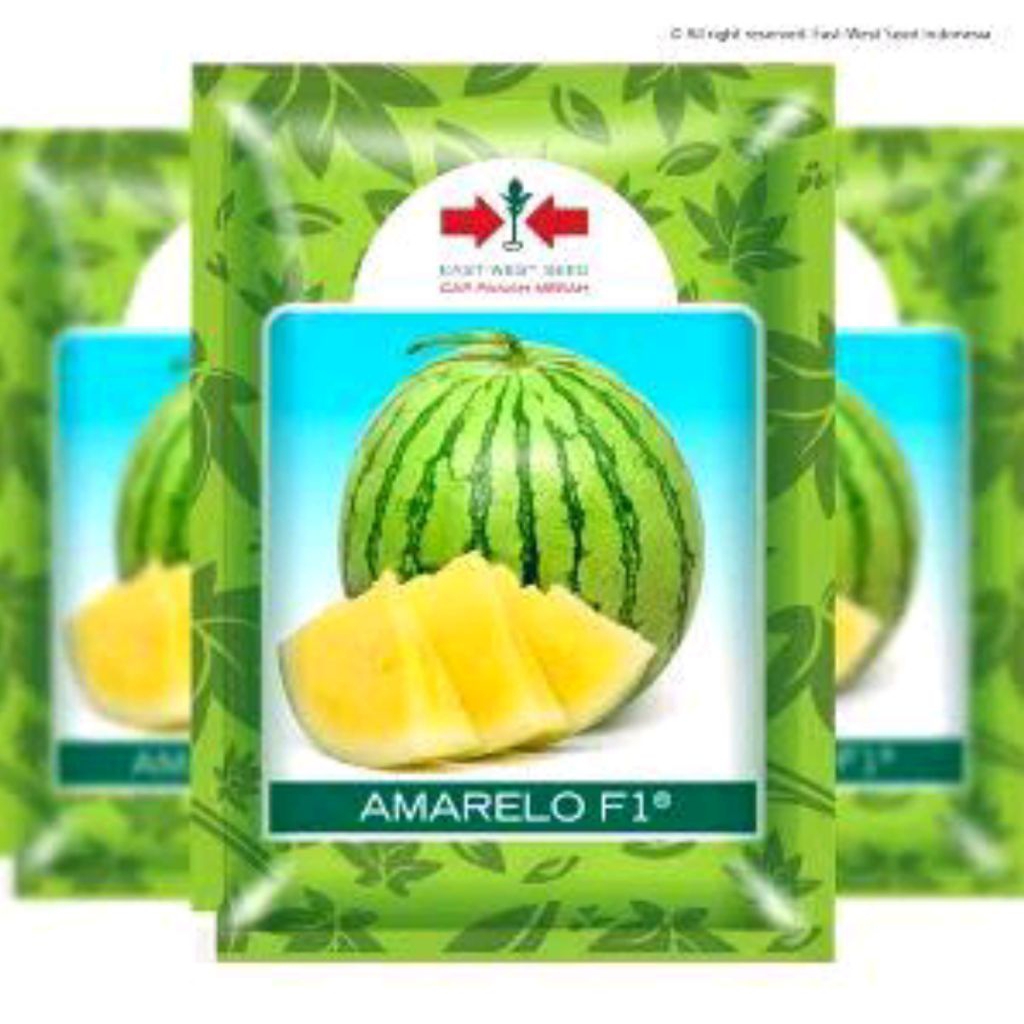 25 Butir Benih Semangka Kuning Amarelo F1 Exp. 2026