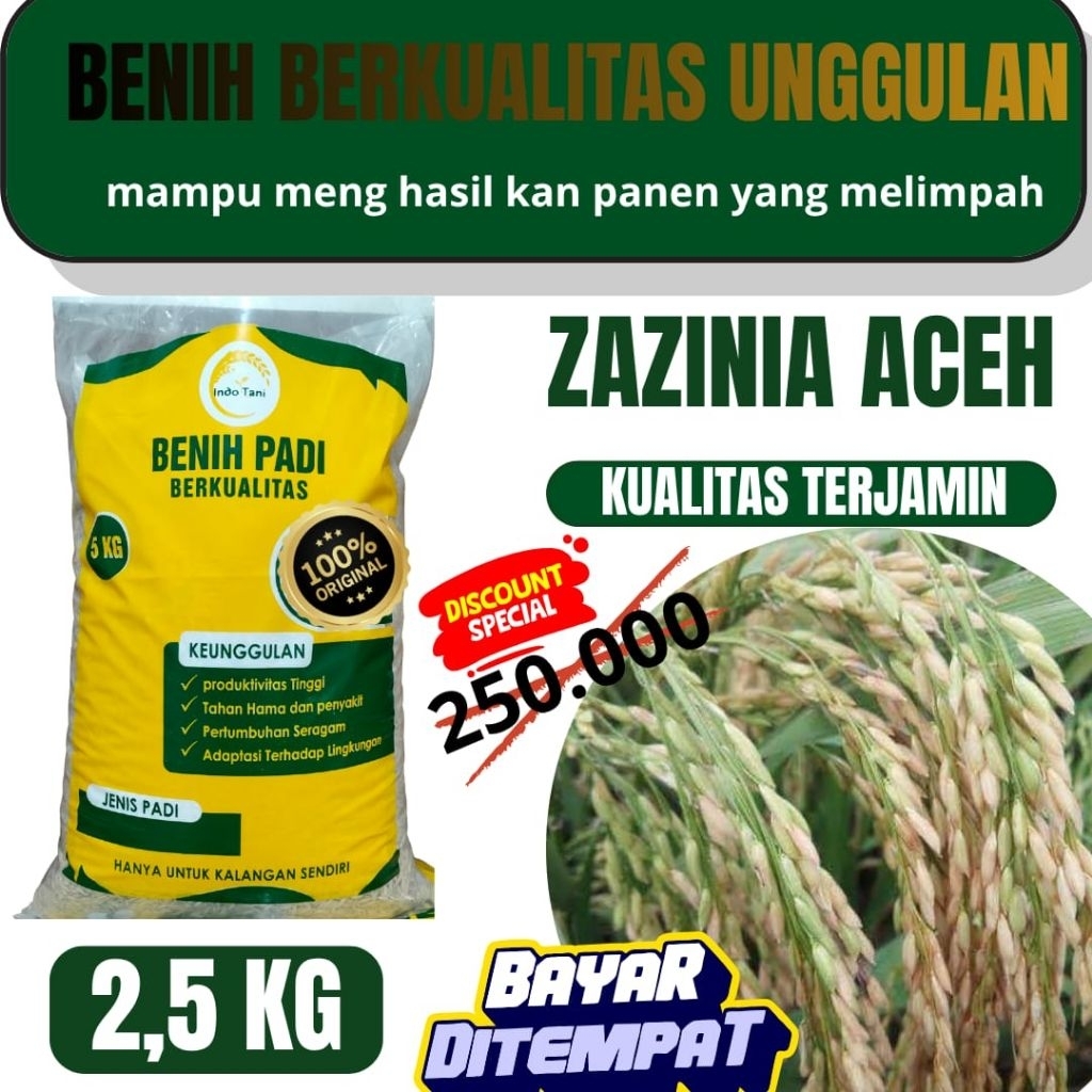 benih padi unggulan super Zizania Aceh kemasan 2,5kg