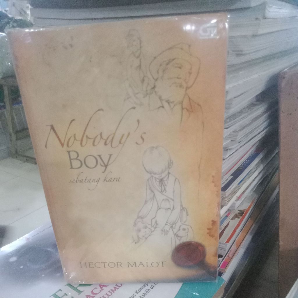 nobody's boy sebatang kara by Hector malot