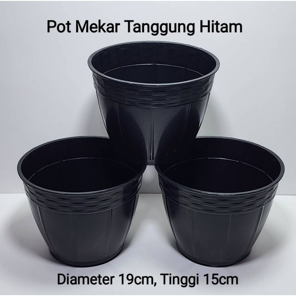 Pot tanaman mekar warna hitam diameter 19 cm tinggi 15 cm cocok untuk tanaman keladi dan philodendro