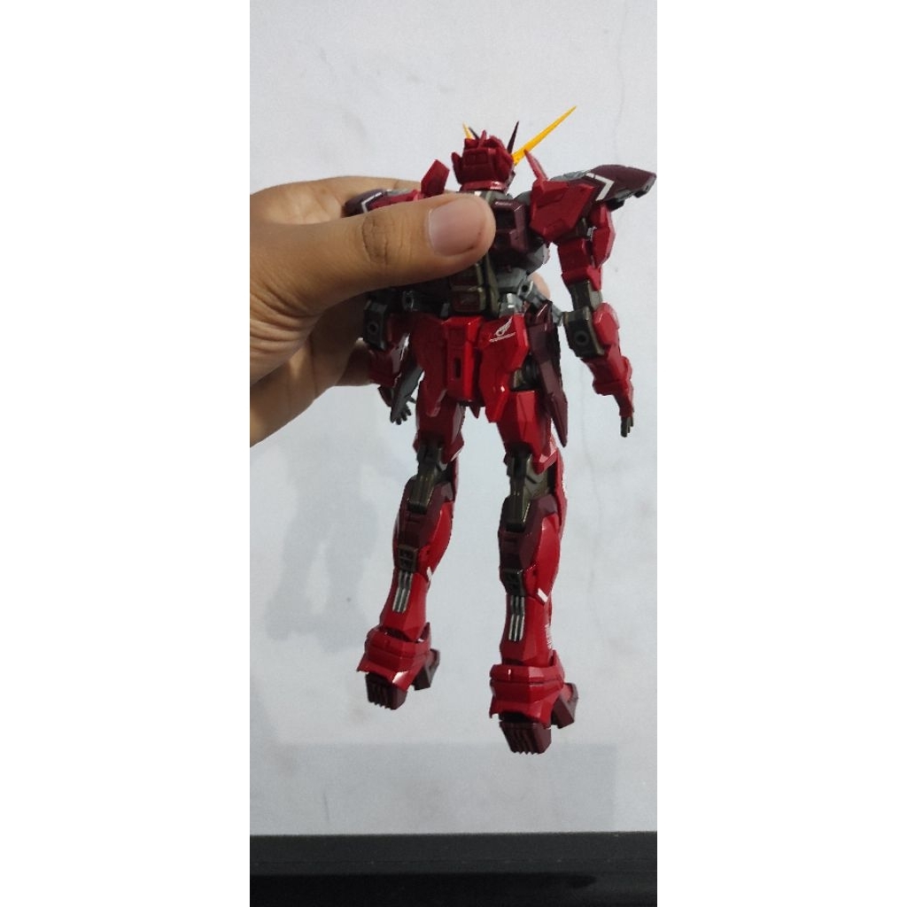 Body Testament Dragon Momoko