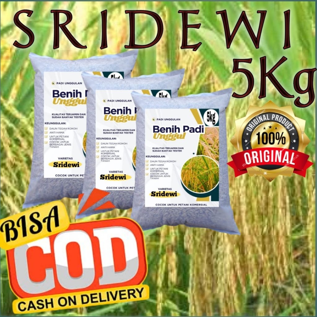 BENIH PADI HIBRIDA SRIDEWI 5KG