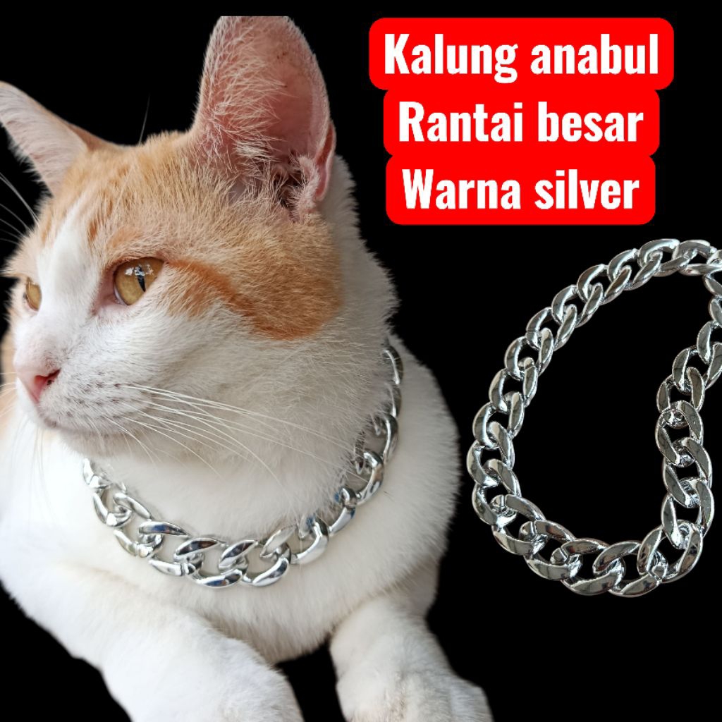 kalung kucing kalung anjing kalung anabul rantai besar warna silver