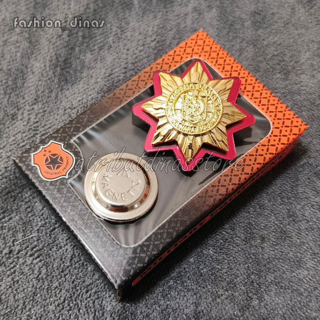 PIN ASTHABRATHA PIN ALUMNI IPDN PIN PURNA IPDN