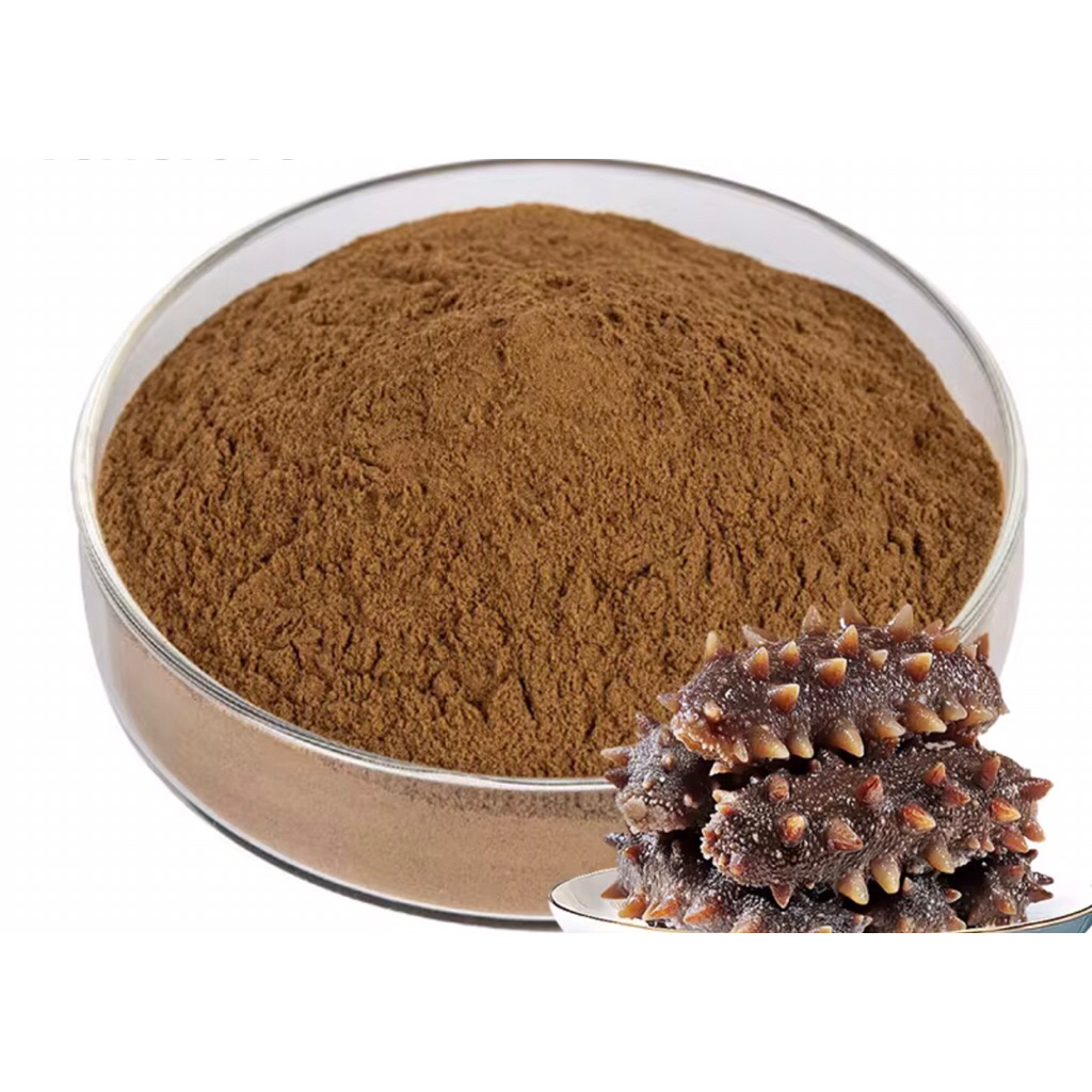 Ekstrak Bubuk Gamat/Teripang/Haisom-Sea Cucumbar Extract Powder