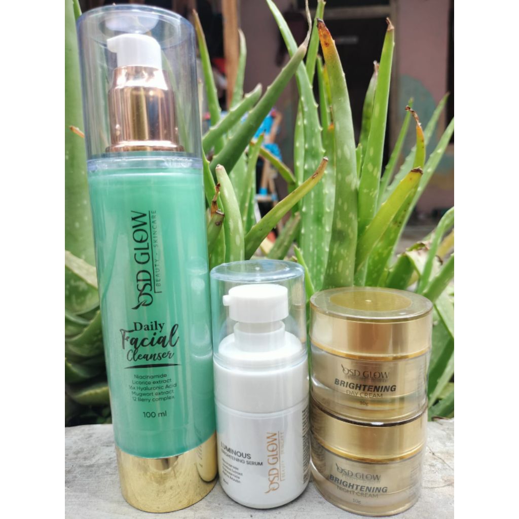 PAKET SKINCARE NEW REBORN OSD GLOW OLLA SKIN DAILY