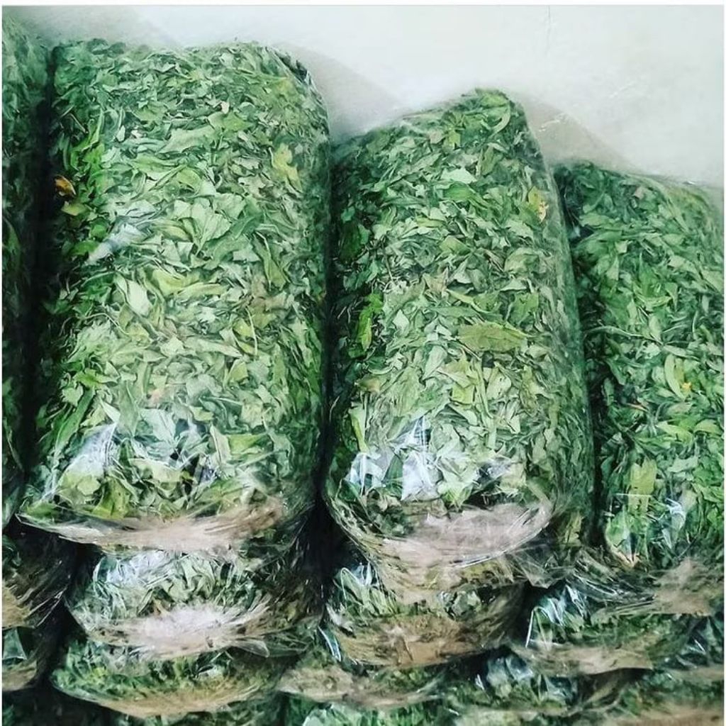 Hay Indigofera Makanan Kelinci Murah Rumput Kering Kelinci 100 gram