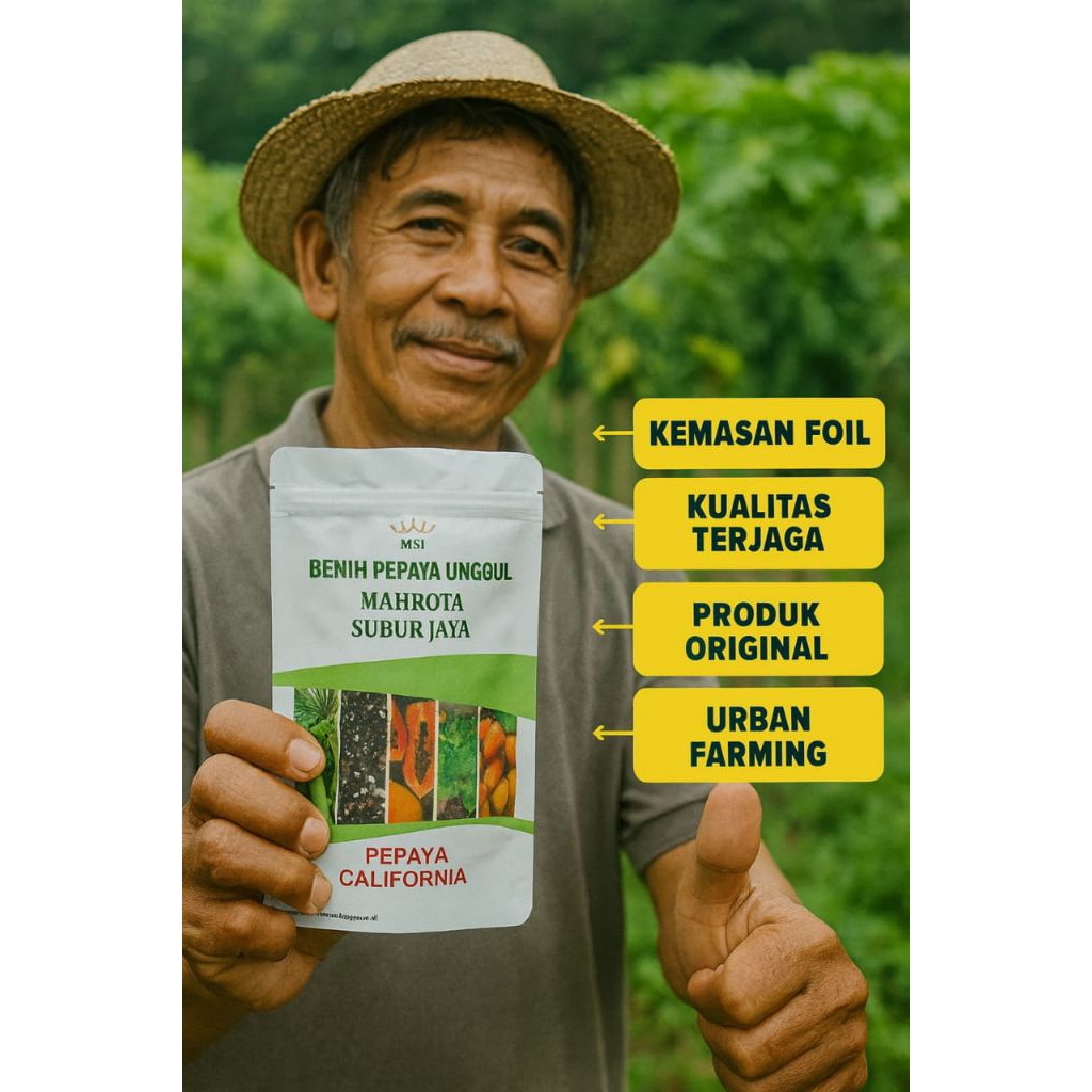 Benih pepaya California IPB-9 asli lokal unggulan premium terbaik 30 gram