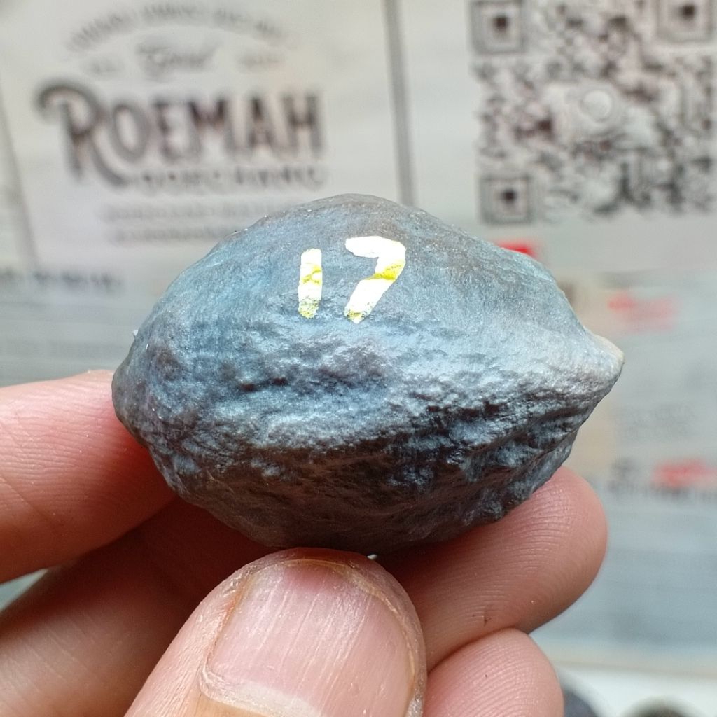 Muncang Adu Jabra Bella kode 17