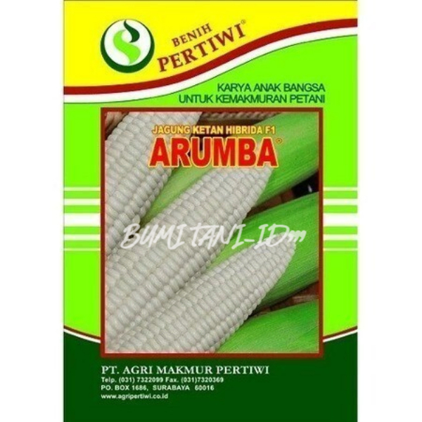 PROMO TERMURAH Benih Jagung ketan manis ARUMBA 250 gram jagung putih pulut manis dari BENIH PERTIWI.